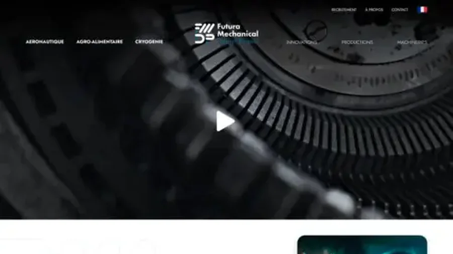Capture du site FMDP