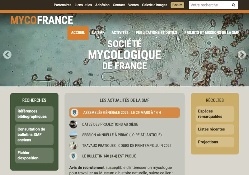 Site web Société Mycologique de France
