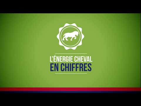 Vidéo YouTube — association